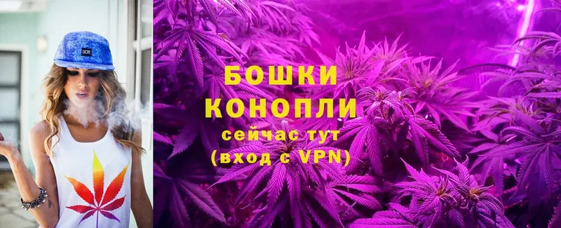 продажа наркотиков  Донецк  Канабис White Widow 